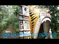 Durga Maiyaa Punjiptahar Temple buli odia video