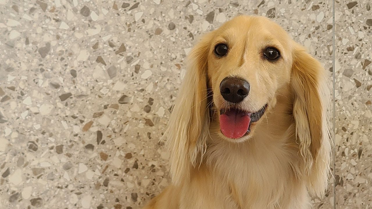 카페인퀸스 7