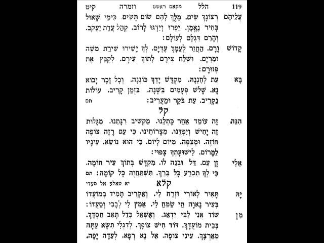 יאיר יזרח כאור יומם I ראשט סוזנק I ספר שאו זמרה