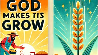 The parable of the Growing Seed | God Works Even When You Don’t See It (Mark 4:26–29)