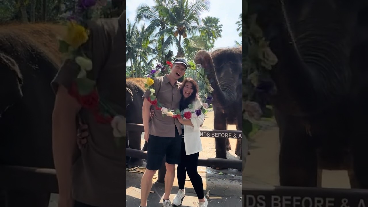 Wow! We certainly didn’t expect this from an elephant... 