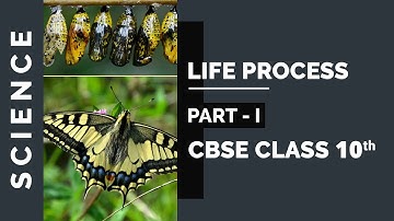 Chapter 6: Life Process Part-I| Class 10 Science NCERT Explanation Video