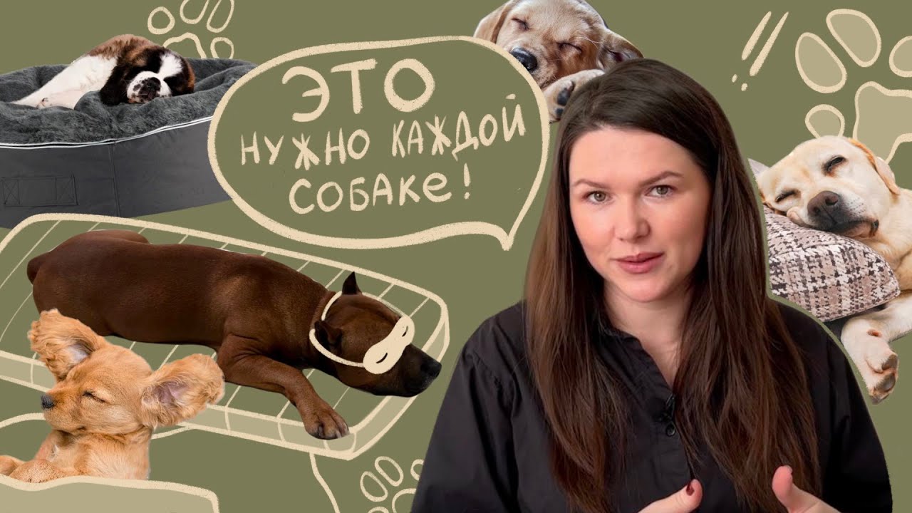 Сон. Перевозбуждение. Болезни. Что между ними общего? 