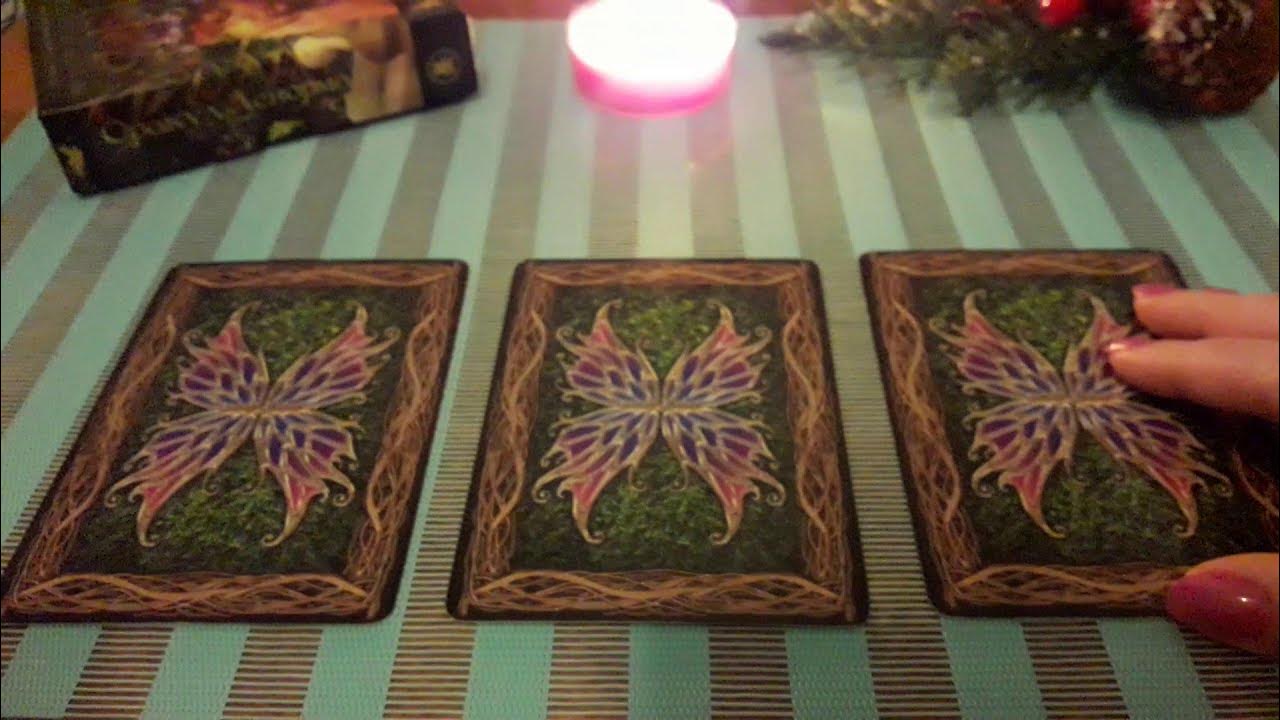 Крис уолдгер: оракул волшебный мир. Оракул г. Оракул кэтрин фишер эгмонт. Журнал оракул. Таро зеленой ведьмы энн моура.