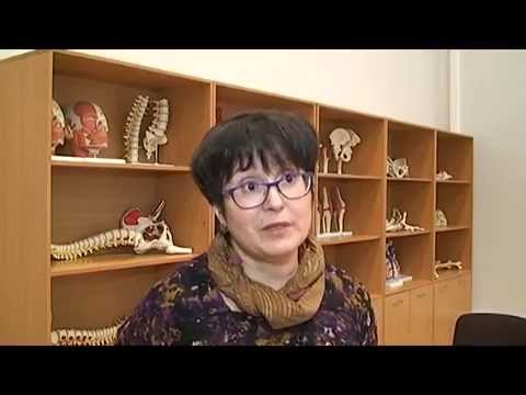 День открытых дверей в Академии спорта и туризма. Сюжет из "ТИН-клуба" №177 (эфир на ТНВ от 6.03.15)
