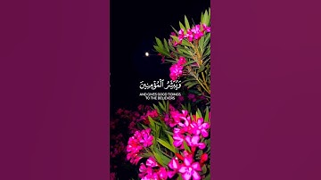 إن هذا القرآن يهدي للتي هي أقوم  | عبد الباسط عبد الصمد كروما شاشة سوداء قرآن كريم #كرومات_قرآنQuran