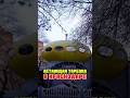 Летающая тарелка в Краснодаре 🛸 #краснодар #краснодарскийкрай #крд
