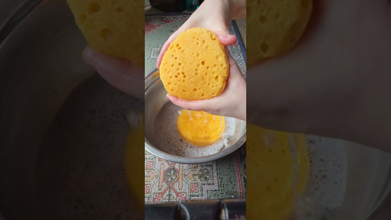 Sponge 🧽 squeeze--#watery #spongesqueezing 
