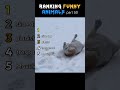 Ranking Funny Animals part 50