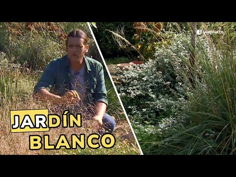 El jardín blanco de Iñigo Segurola durante el Otoño // Jardinatis