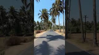 parra road goa #nature #travel #travelvlog #traveling #tripping #trip