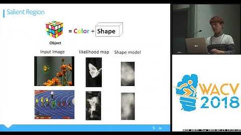 WACV18: Salient Region Based Online Object Tracking