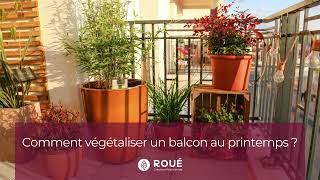 Comment végétaliser un balcon au printemps   Roué Pépinières