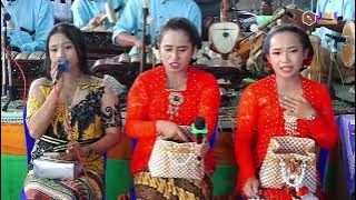 SANES GARAP SRAGENAN ANVA MUSIC/Putra Sm Audio/JNS Multimedia