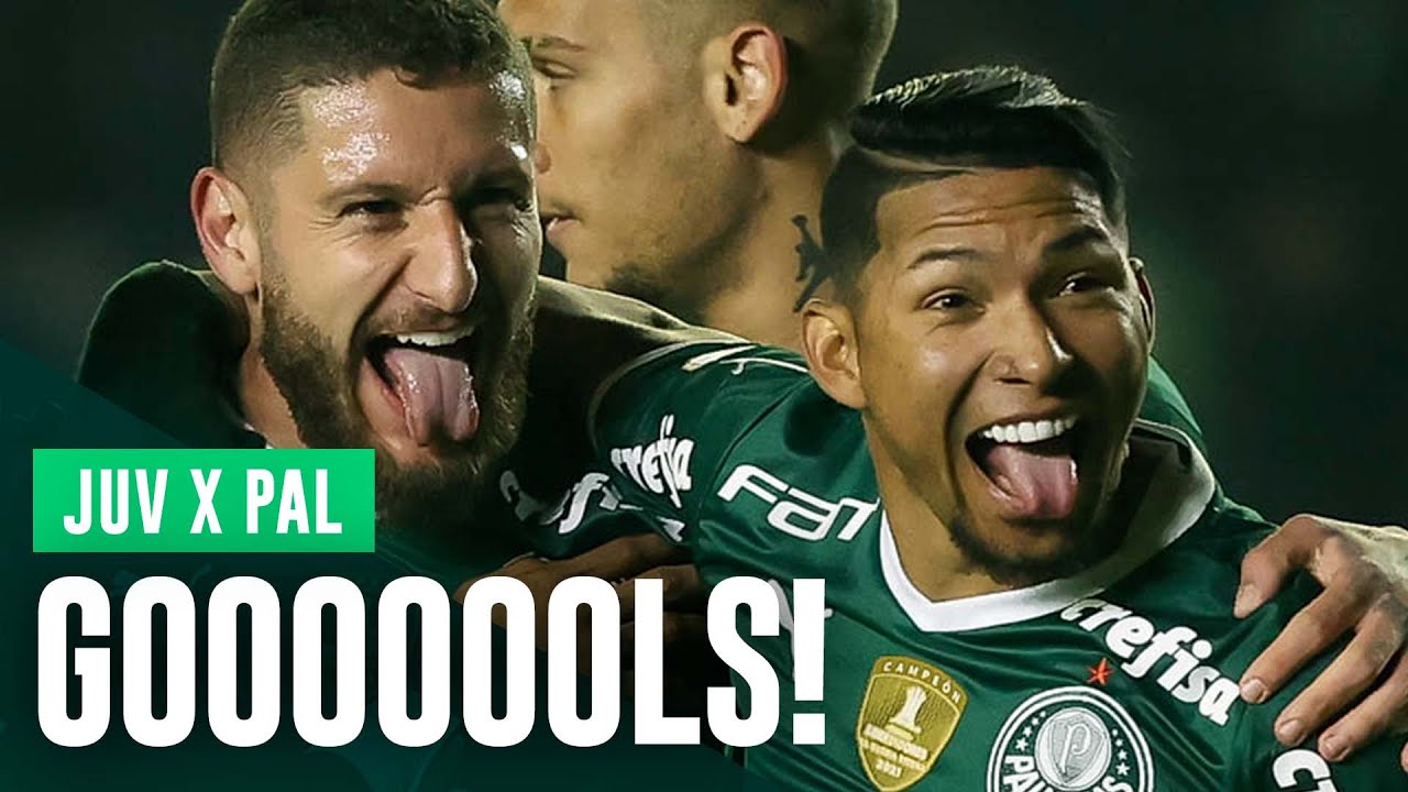 Palmeiras hendecacampeão: relembre todos os jogos e gols da campanha do  título brasileiro