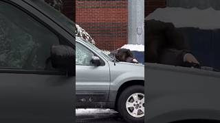 These Record Cold Temperatures Got People Acting Crazy