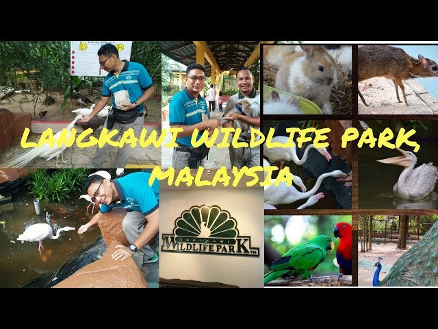 Langkawi Wildlife Park Langkawi Destimap Destinations On Map