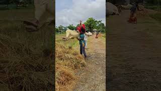 #গরমের_গান #dancecover #funny #haryanvisong #comedy #lifeisbutadream #dance #song