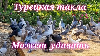 :    