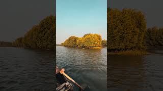 “Island life feels better here.” #kadamakkudy #ernakulam #kochi #travel #peace #vibes