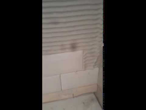 installing-the-first-row-of-subway-tile
