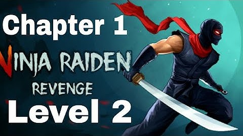 Ninja Raiden Revenge Chapter 1 Level 2