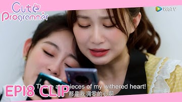 Cute Programmer | Clip EP18 | Li and Xiaoqi were crying on each other