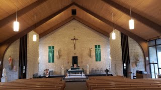 January 17th & 18th 2026 - 2nd Sunday in Ordinary Time