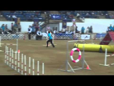 Grace LaRocque and Zer 2011 AKC National Agility C...