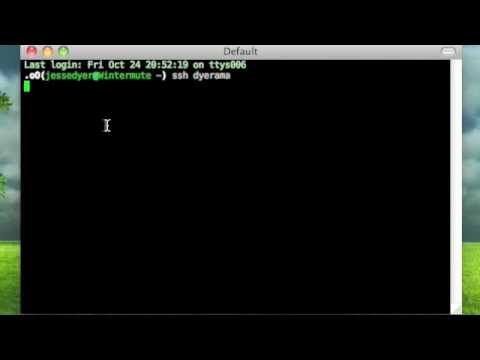 The Joy of Screen
