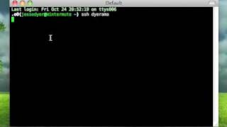 The Joy of Screen