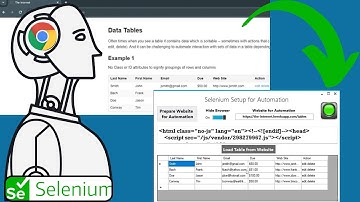 Easy Website Table Extraction with Selenium and C# | Windows Forms Tutorial