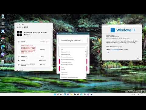Windows 11&10 Pro for Workstation 取得數位授權—主機版永久啟用 (Github Open Source)