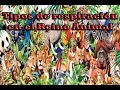 **Tipos de respiración en el Reino Animal**