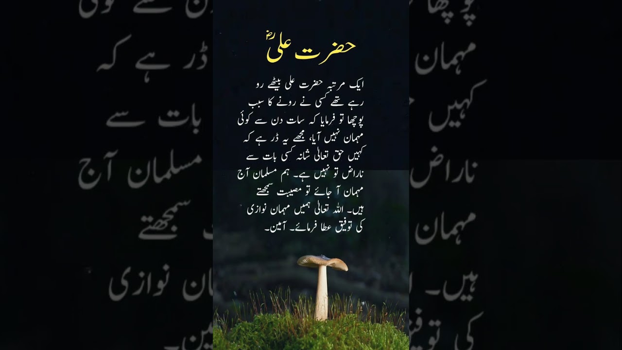 Hazrat Ali Quotes |  | Golden Words | Islamic Whatsapp Status | Islamic Status | Urdu Hindi quotes