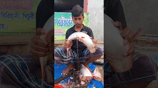 Amazing Pangash Fish Cutting Skills ytshortsshorts_videos  Fish Cutting ??