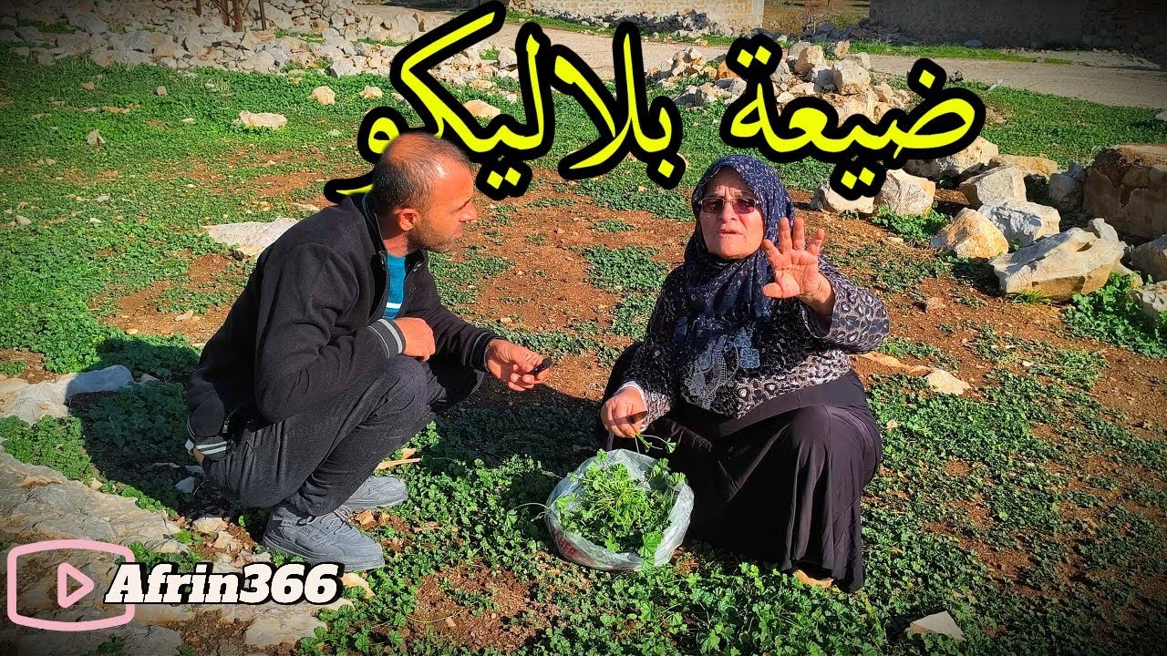 قرية بلاليكو ناحية راجو - Gundê Bilêlko Reco Efrîn