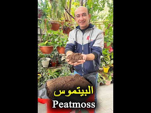 فيديو: ما هو Peat Moss: نصائح لاستخدام Peat Moss في الحدائق