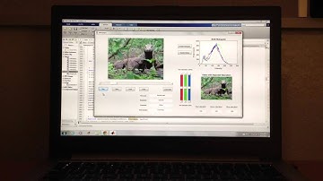 ENG6 Project video (Team kHw)