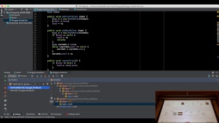 Famous Princeton COS226: IntelliJ Debugging Workshop (Part 2) Net Worth