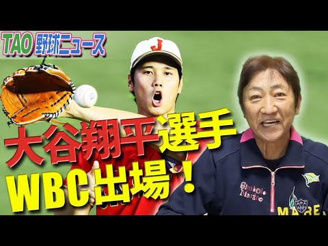 ジャパンのレベルが一気にアップ!? 【11/25】