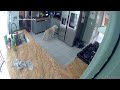 Caught on camera: Dog starts kitchen fire that kills 3 pets