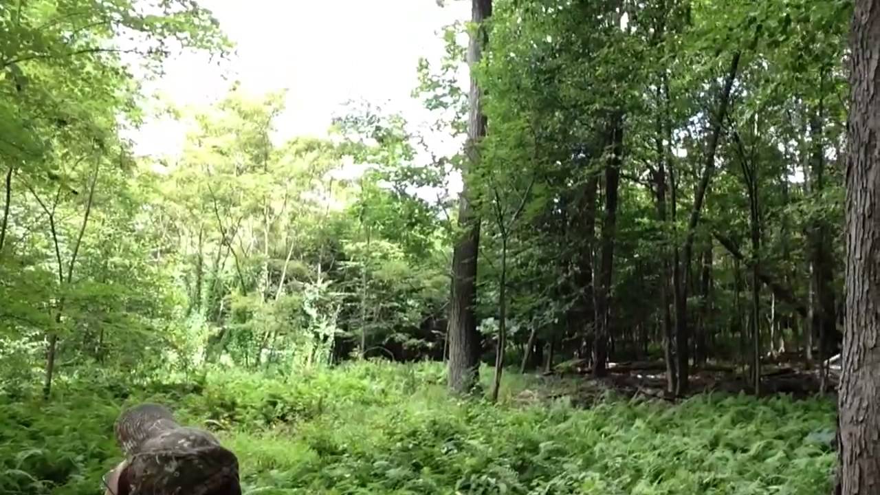 Tree stand placement Deer hunter YouTube