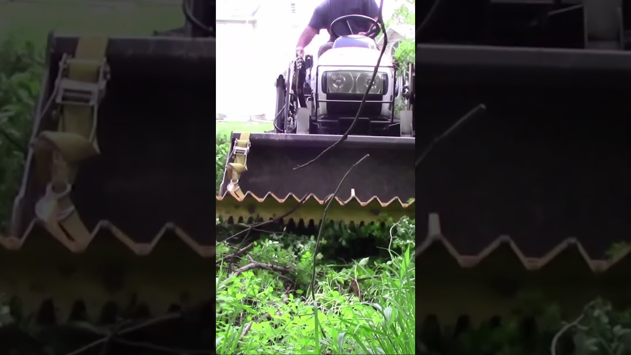 Brush Removal with tractor bucket attachment  