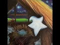 Starlet, The Tiny Star - Read by Arthur Ginolfi