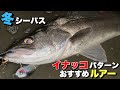 【80up降臨！】冬の低活性シーバスにおすすめルアー！