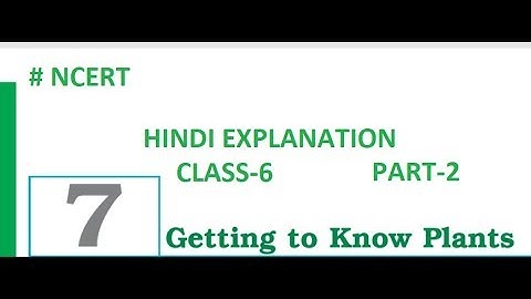 EVS Class-6 Hindi Explanation Of Chapter-7 { Getting To Know Plants } Part-2