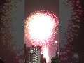 DISCOVER TOKYO FIREWORKS DISPLAY 2024@SUMIDAGAWA RIVER#shorts #japan #fire #travelvlog #tour