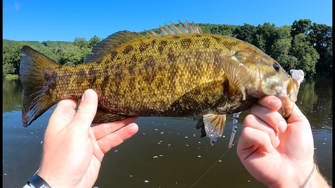 Fishing A Snake Lure For Big River Smallmouth!