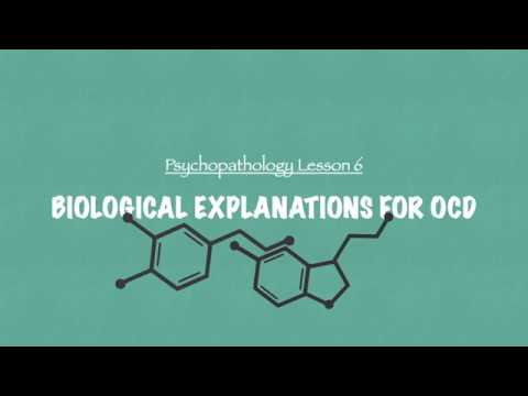A Level Psychology Biological Explanation Of Ocd